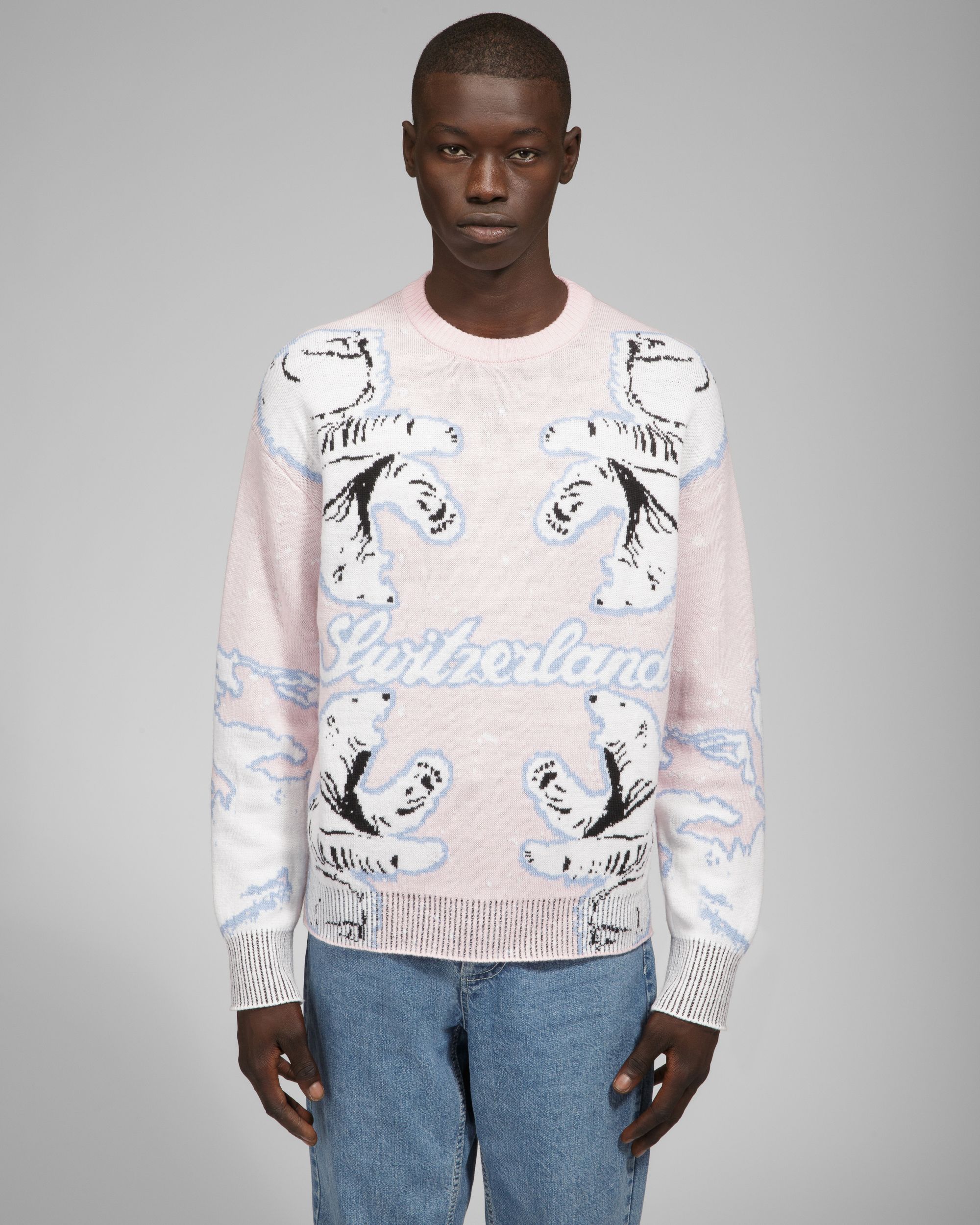 Bally Global - Pull Bear - Multicolore