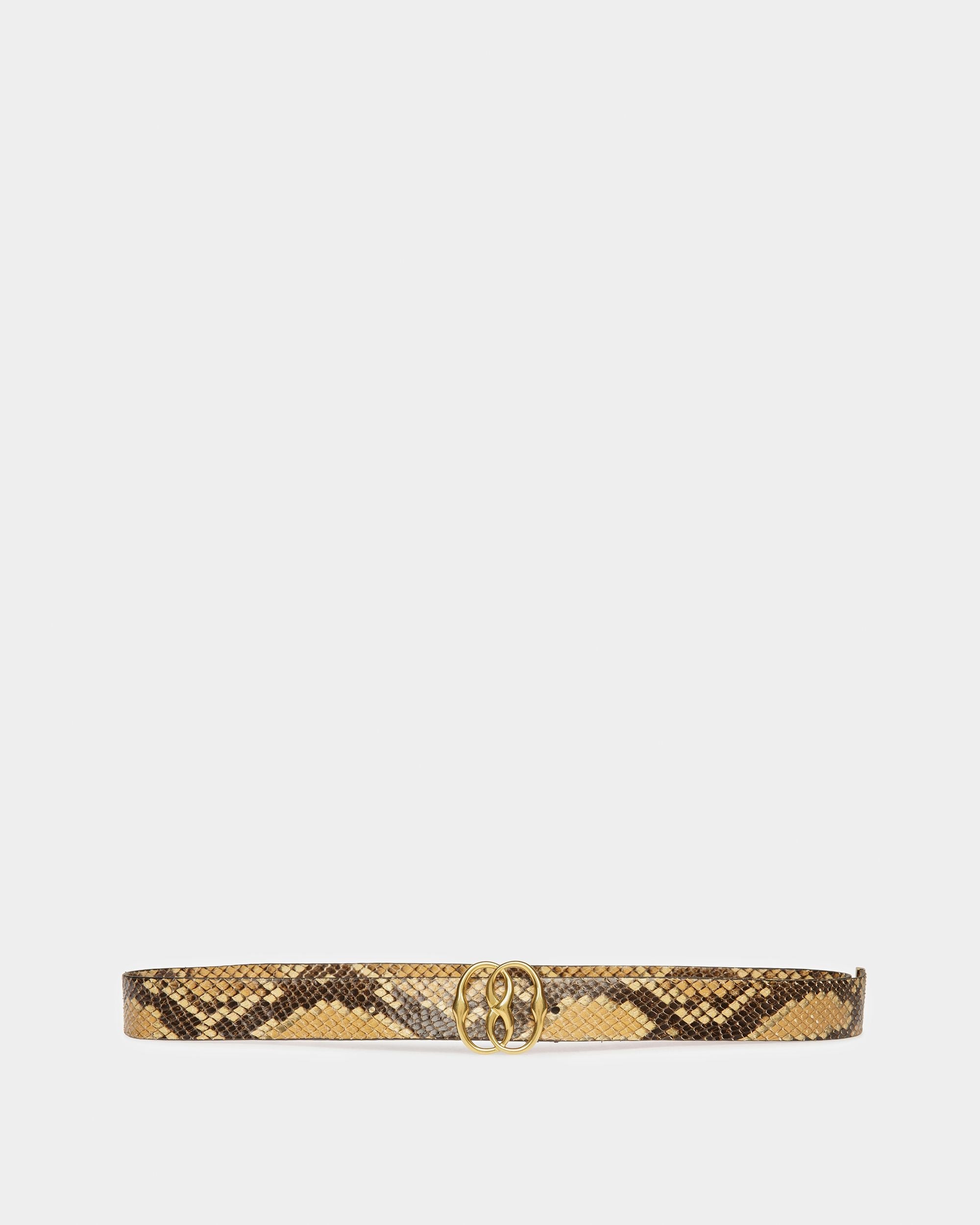 Bally Global -  - 