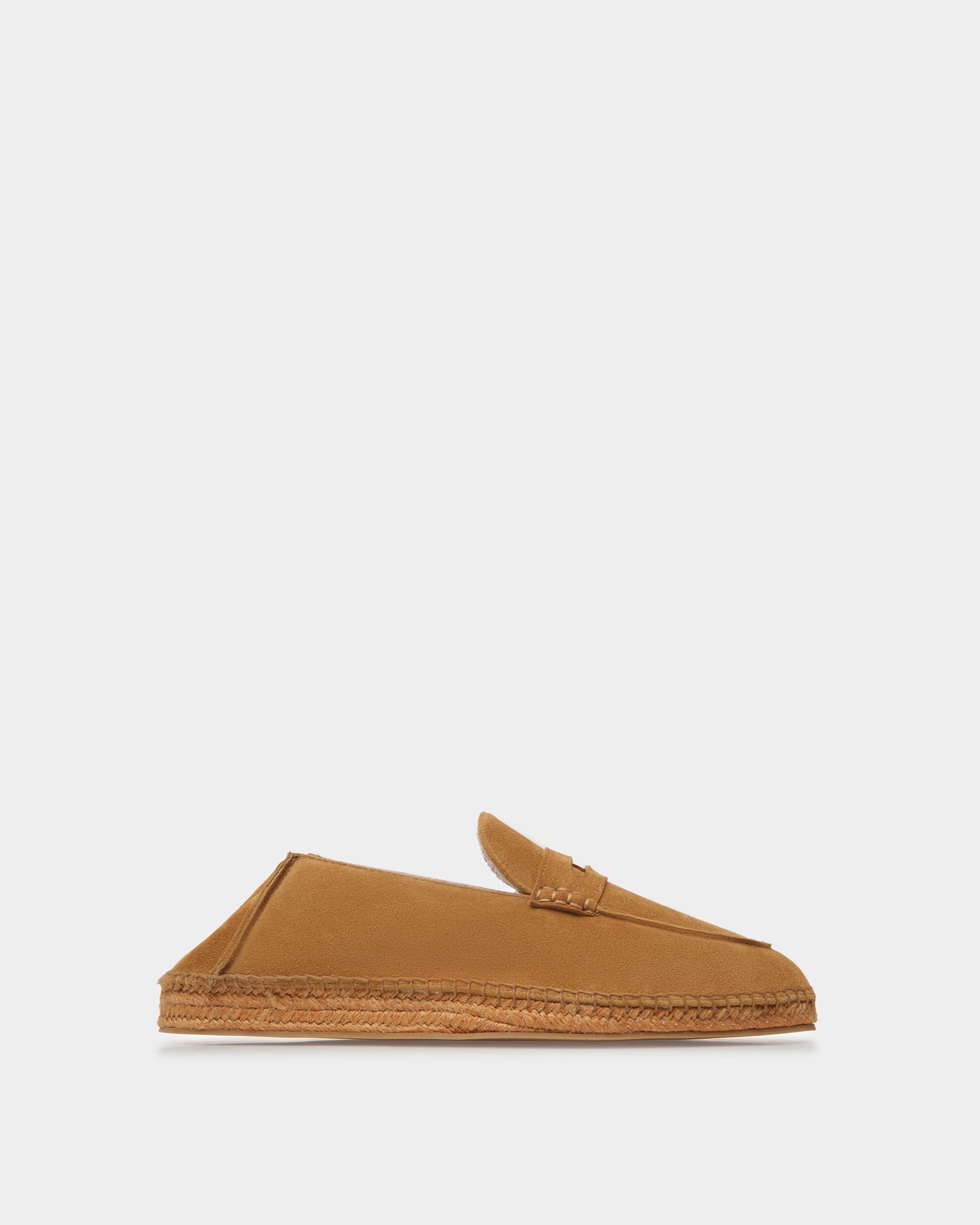 Bally Global -  - 
