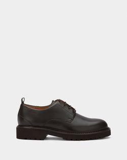 Derby in Brown Leather