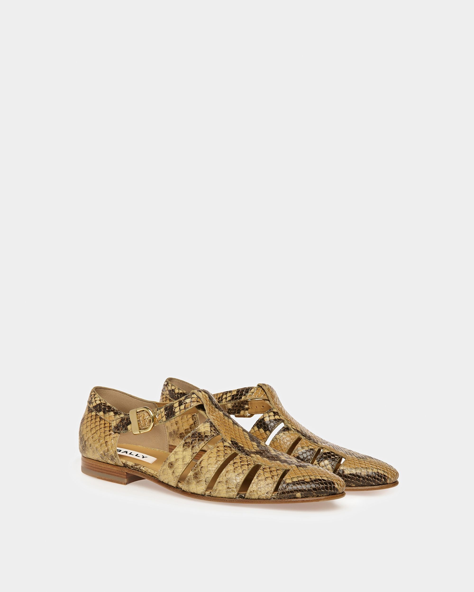 Bally Global -  - 