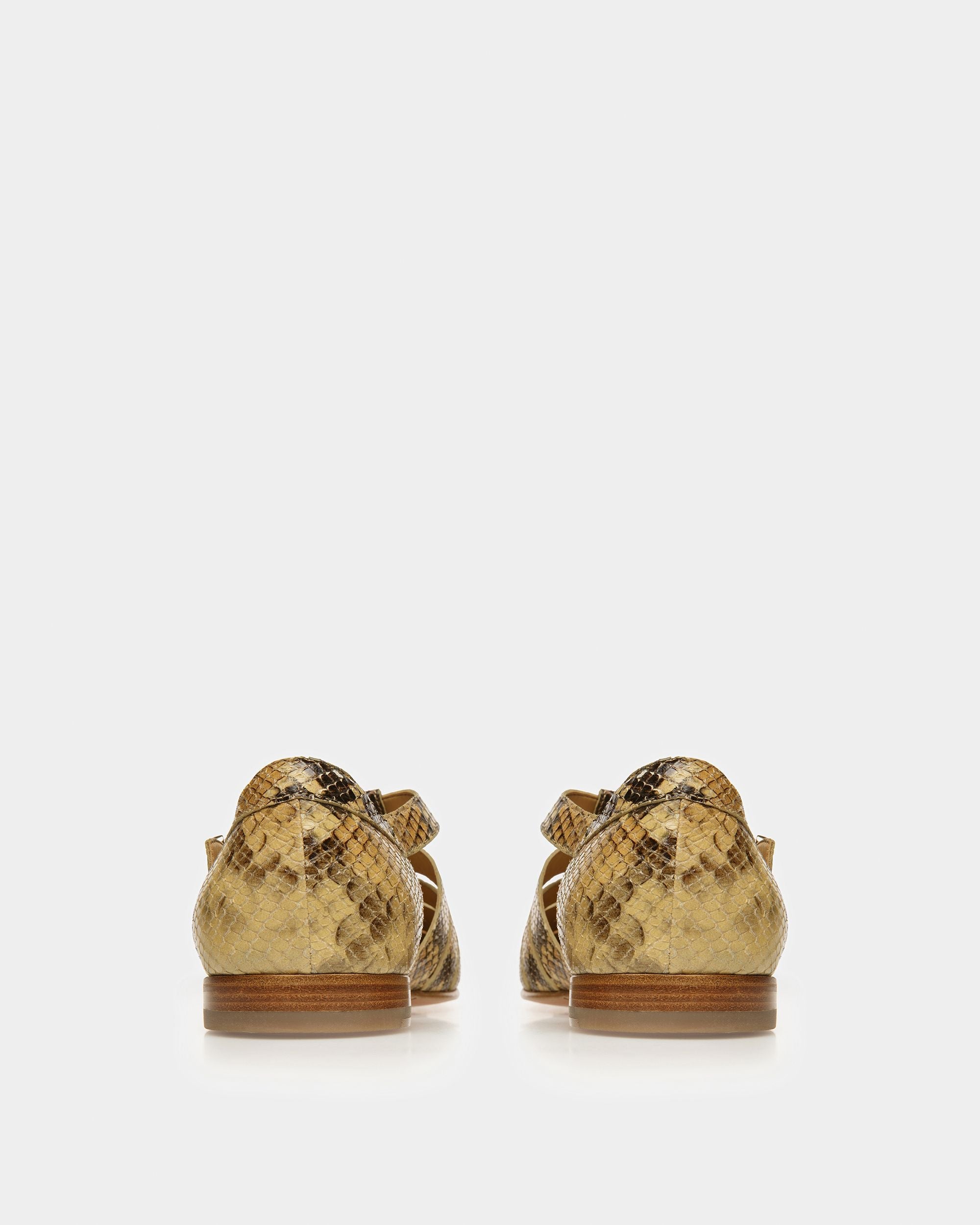 Bally Global -  - 