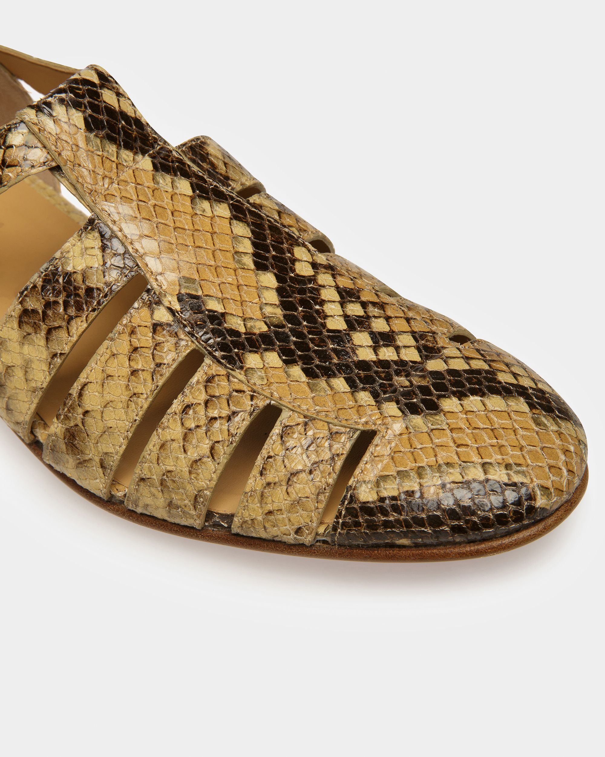 Bally Global -  - 