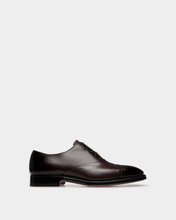 Scribe Oxford in Brown Leather