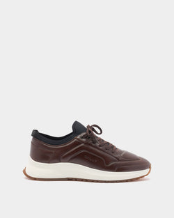 Outline Sneaker in Brown Leather