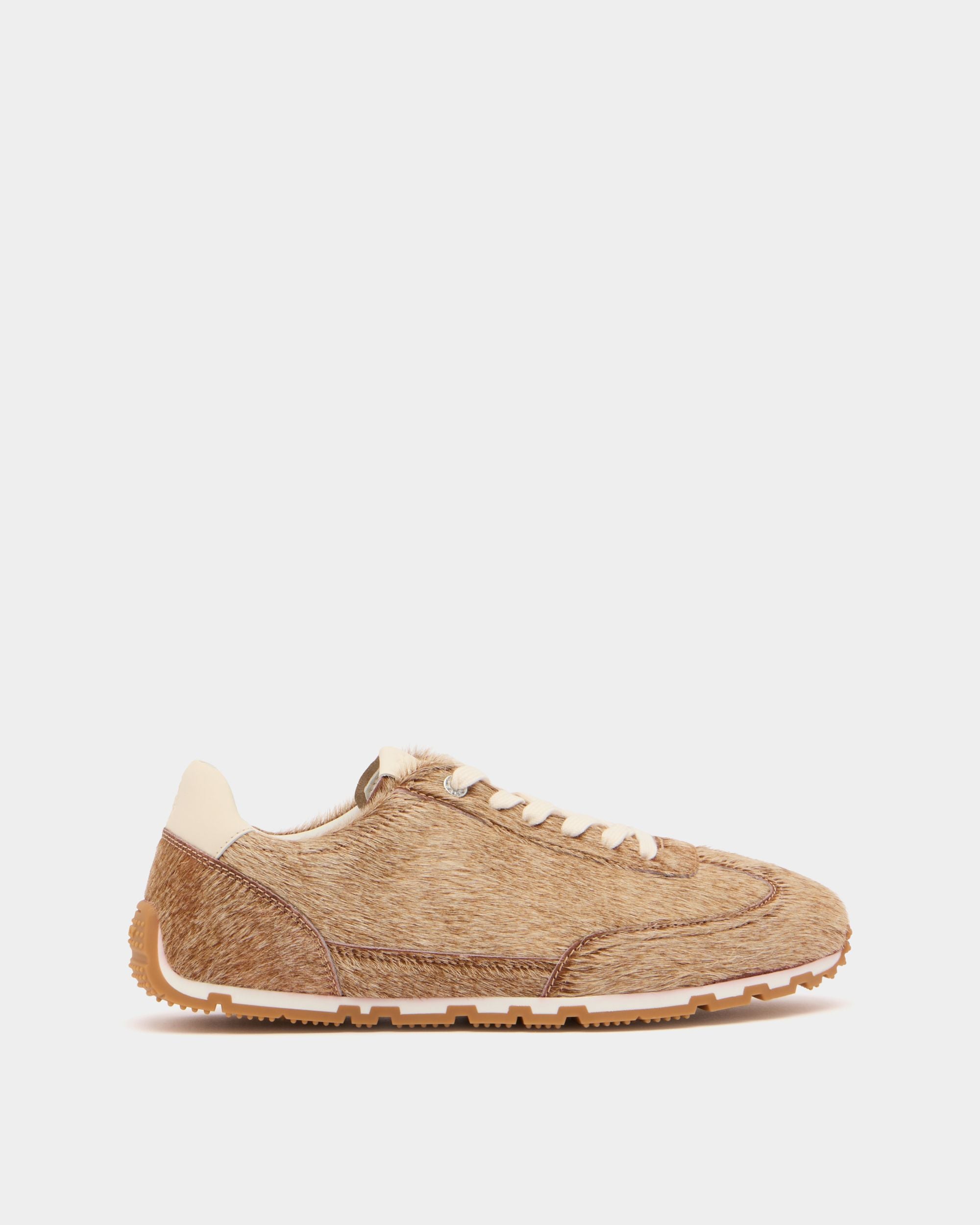 Bally Global -  - 