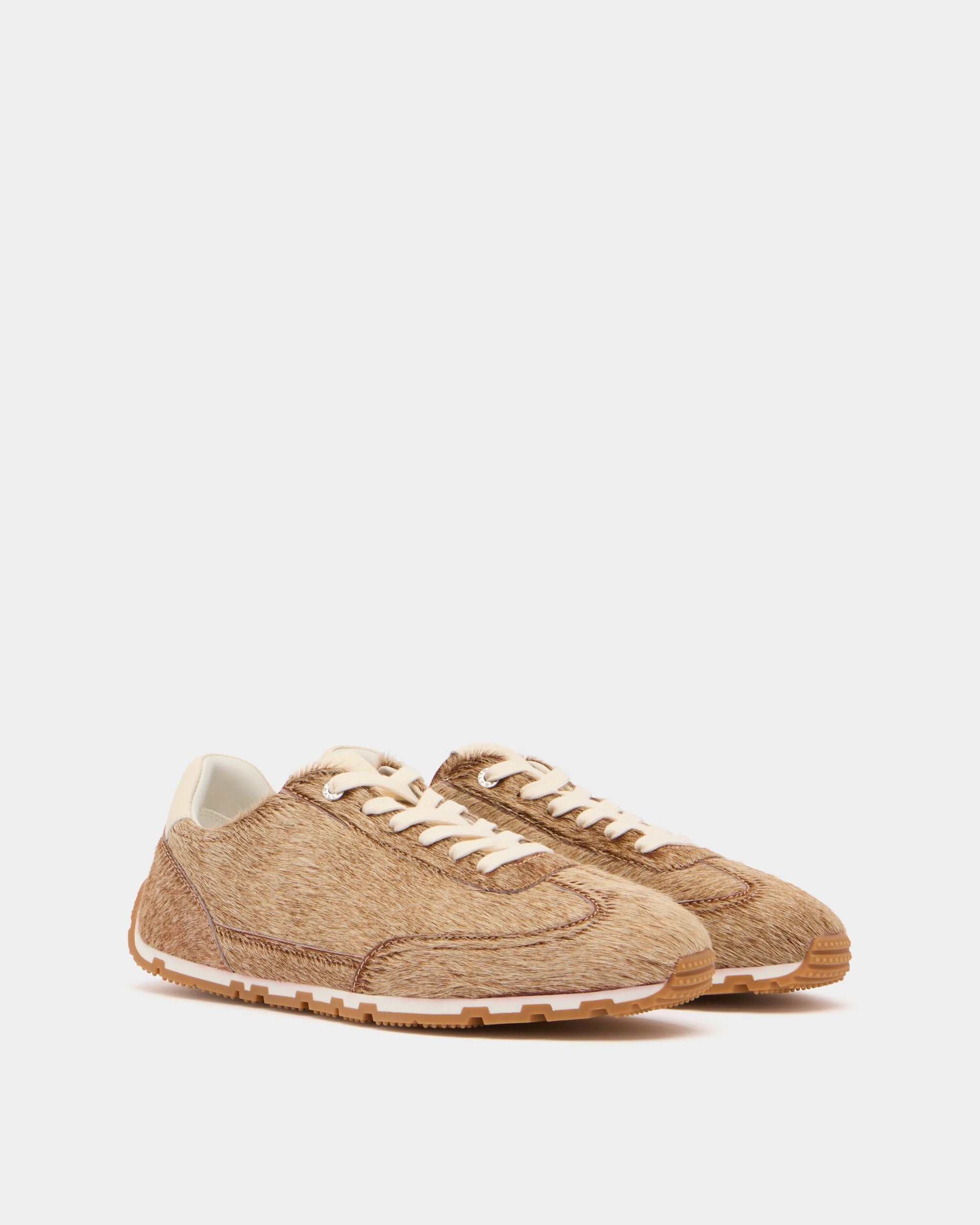 Bally Global -  - 