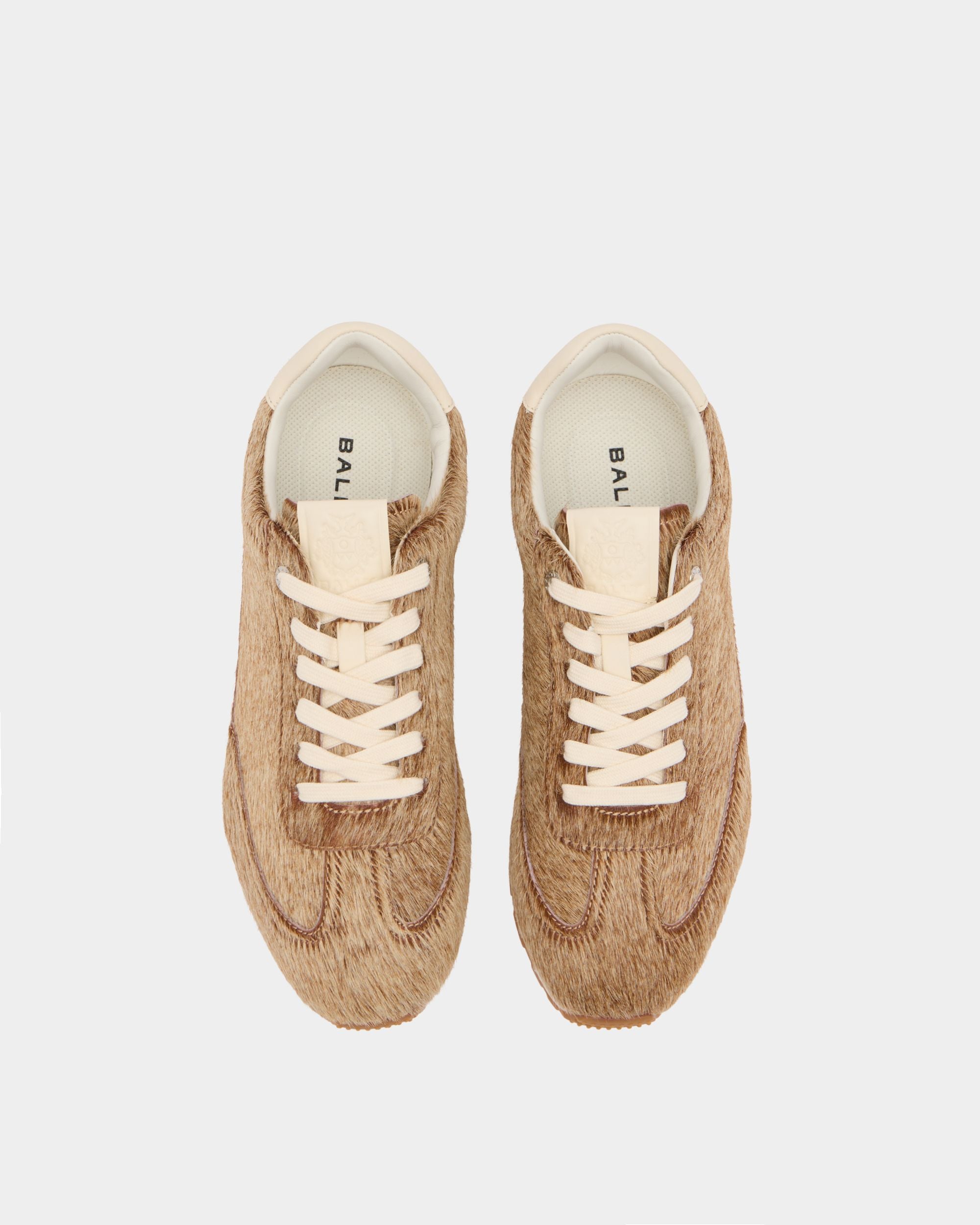 Bally Global -  - 