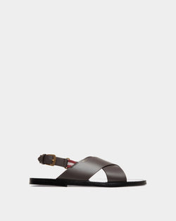 Chateau Sandal in Brown Leather
