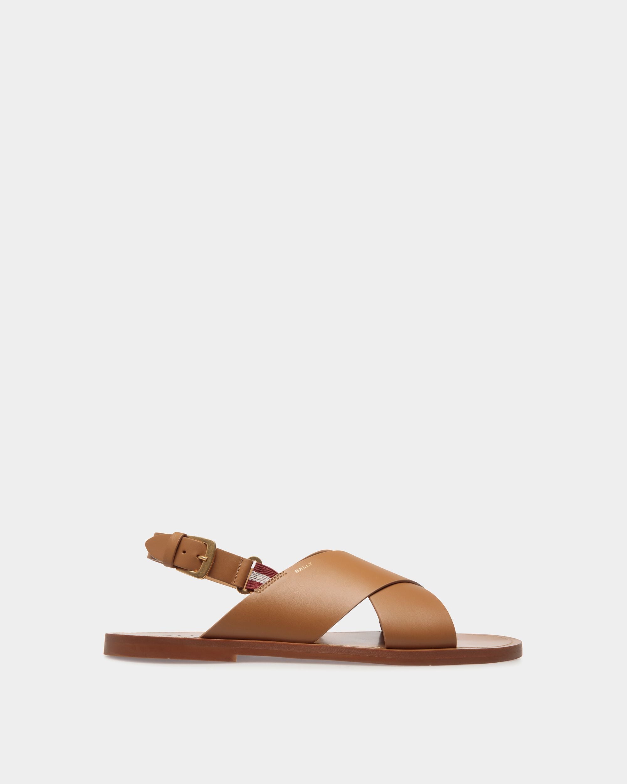 Bally Global -  - 