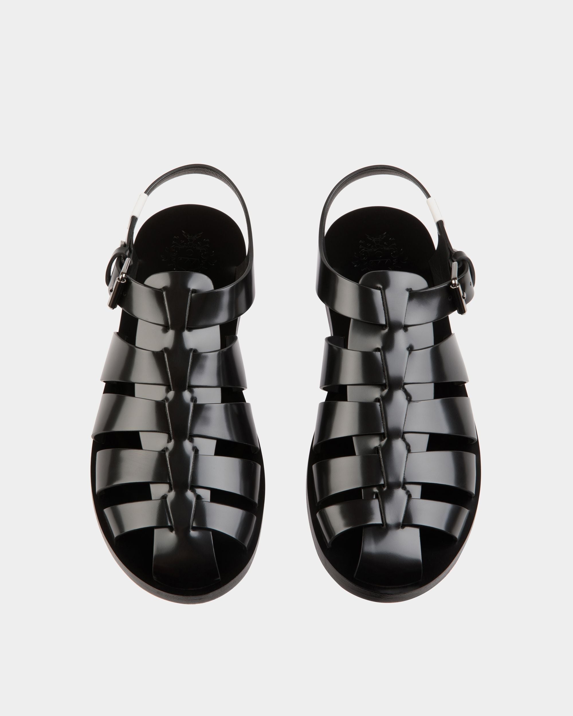 Bally Global -  - 