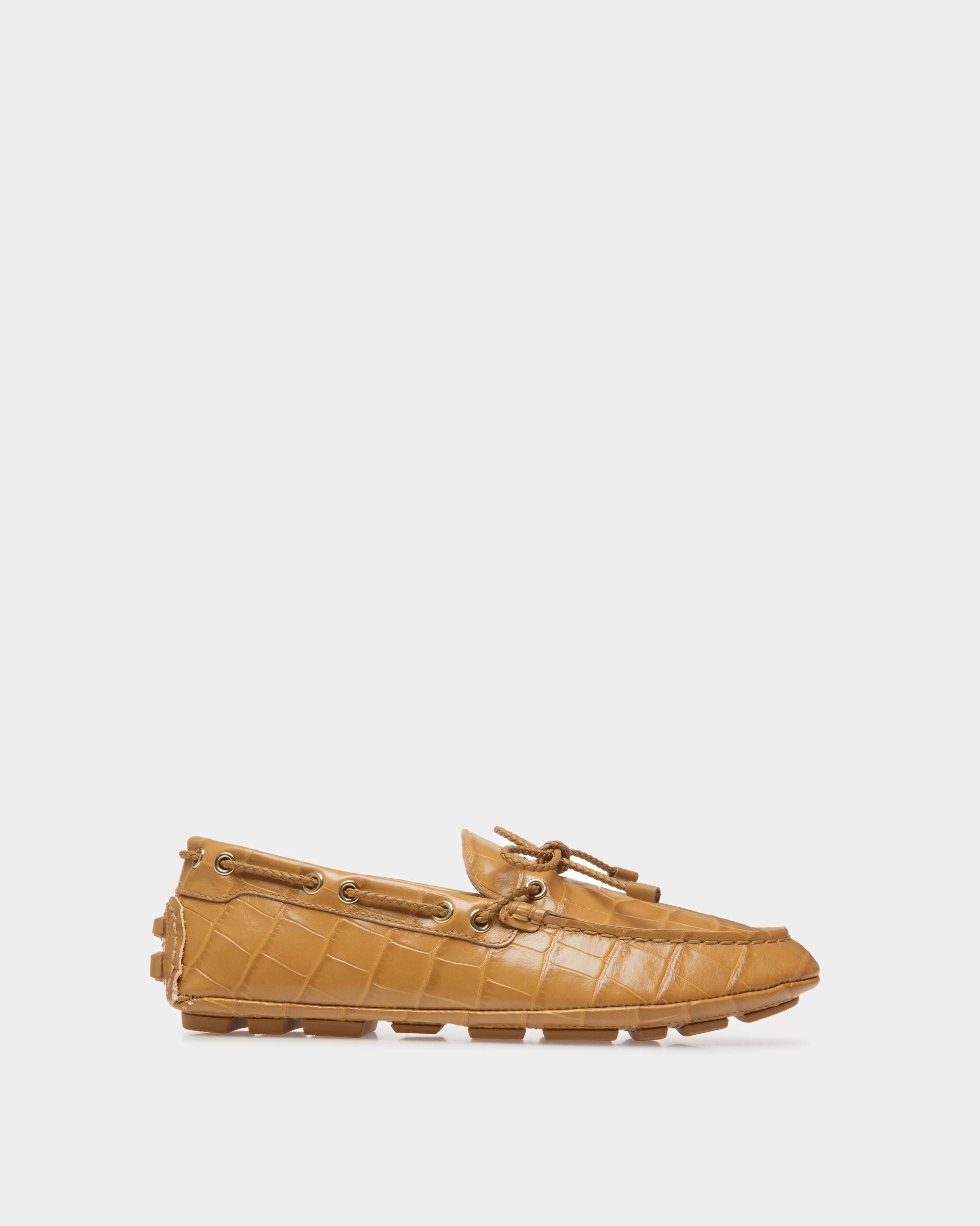 Bally Global -  - 