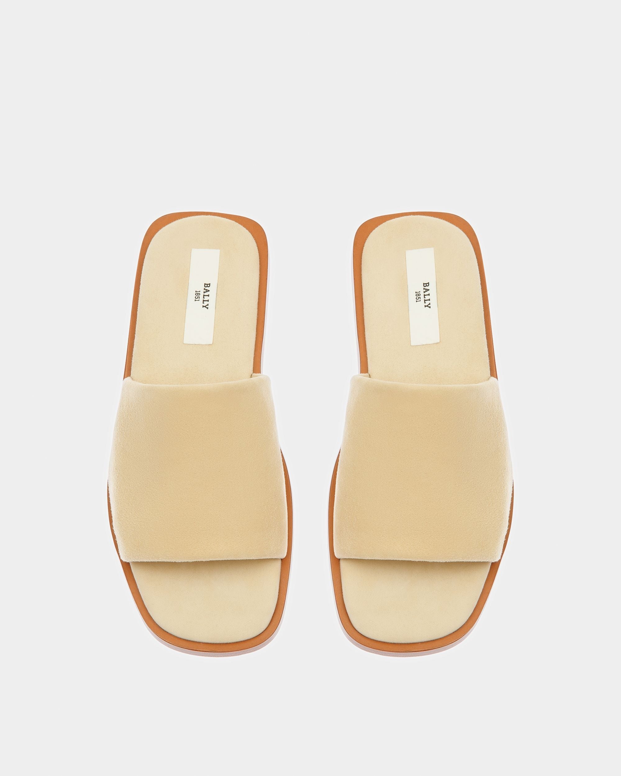 Bally Global -  - 