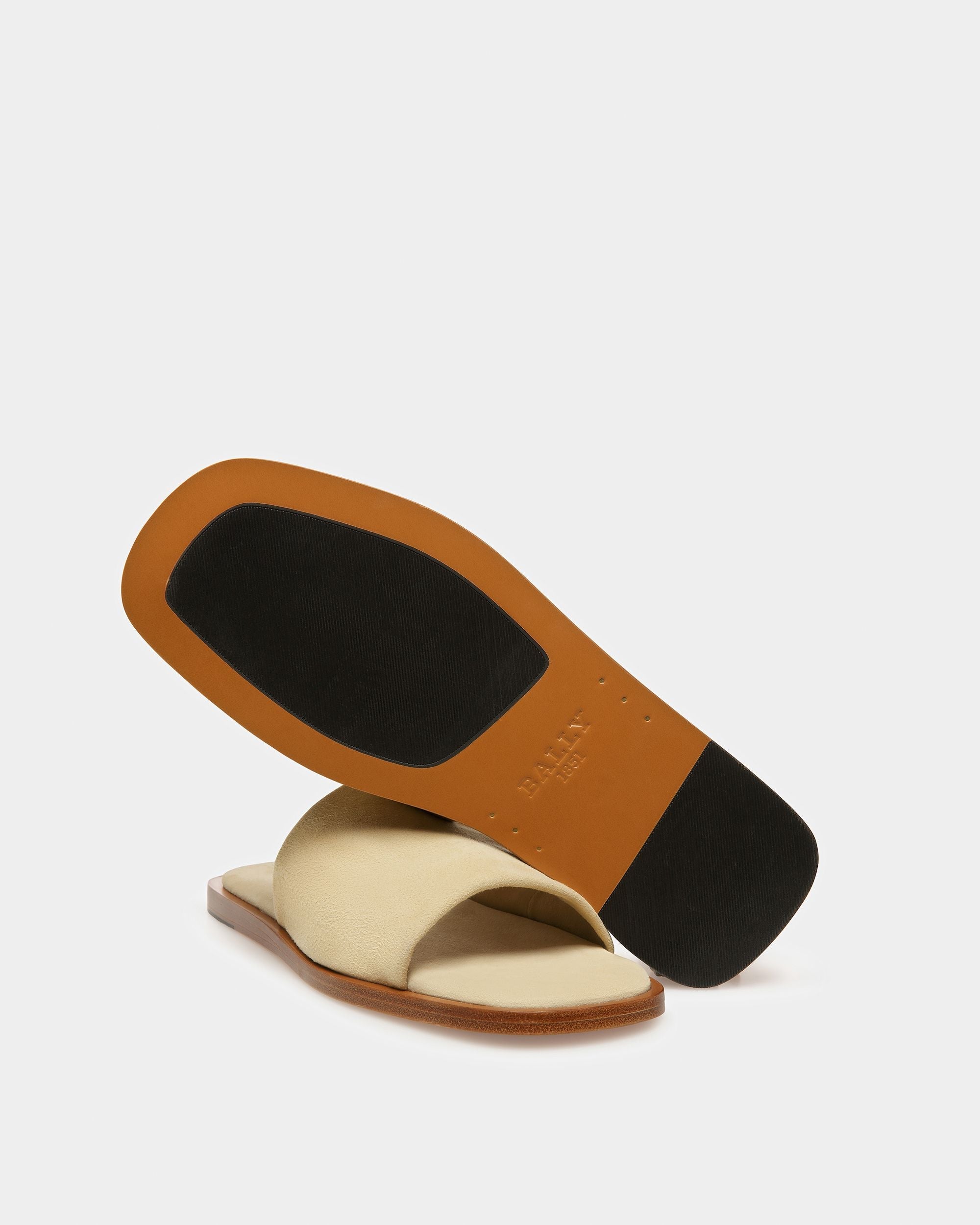 Bally Global -  - 
