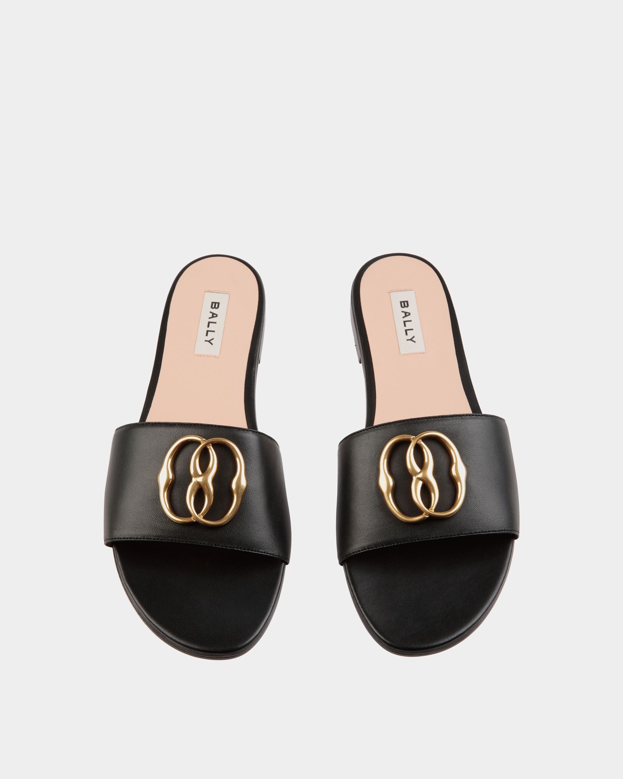 Bally Global -  - 