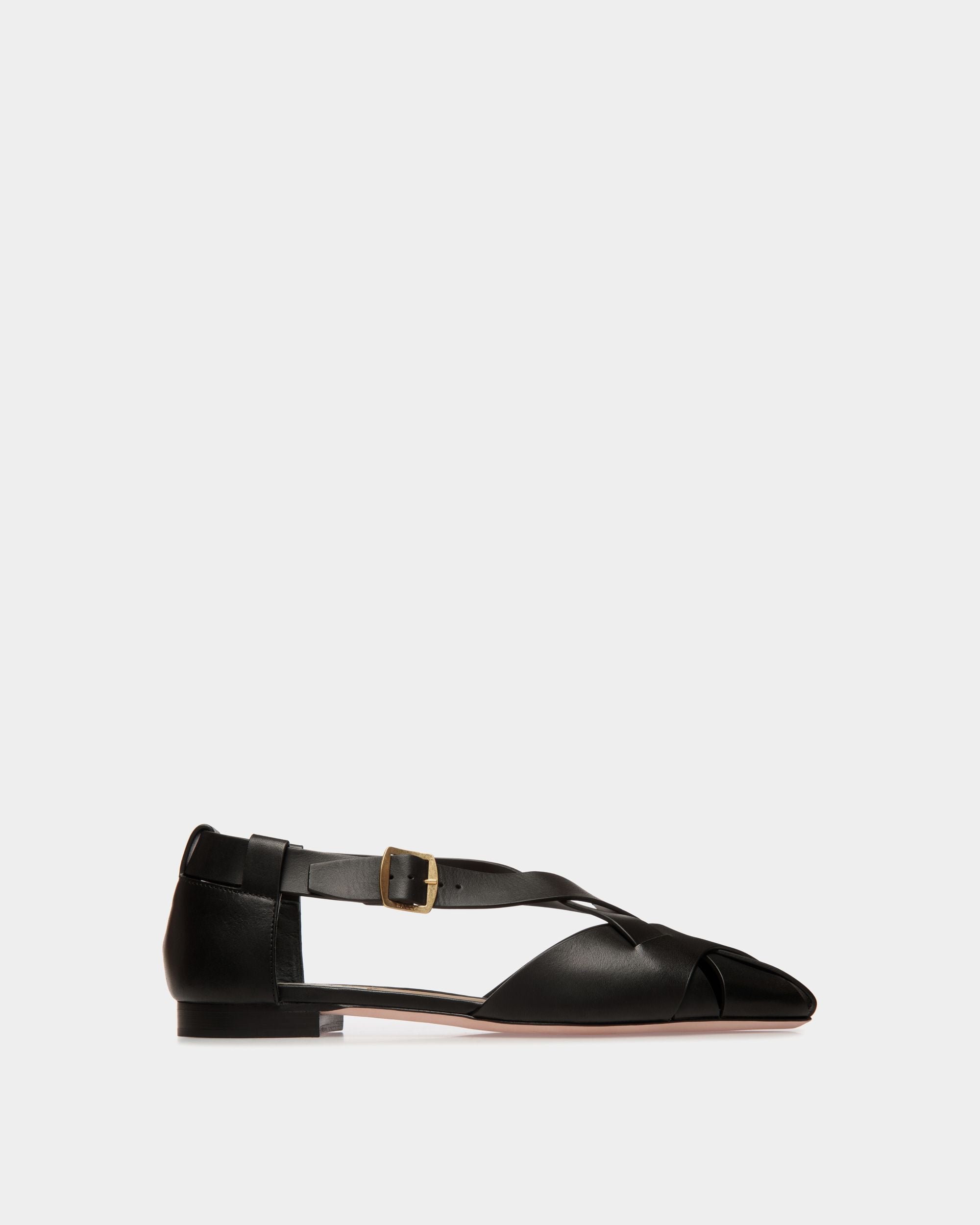 Bally Global -  - 