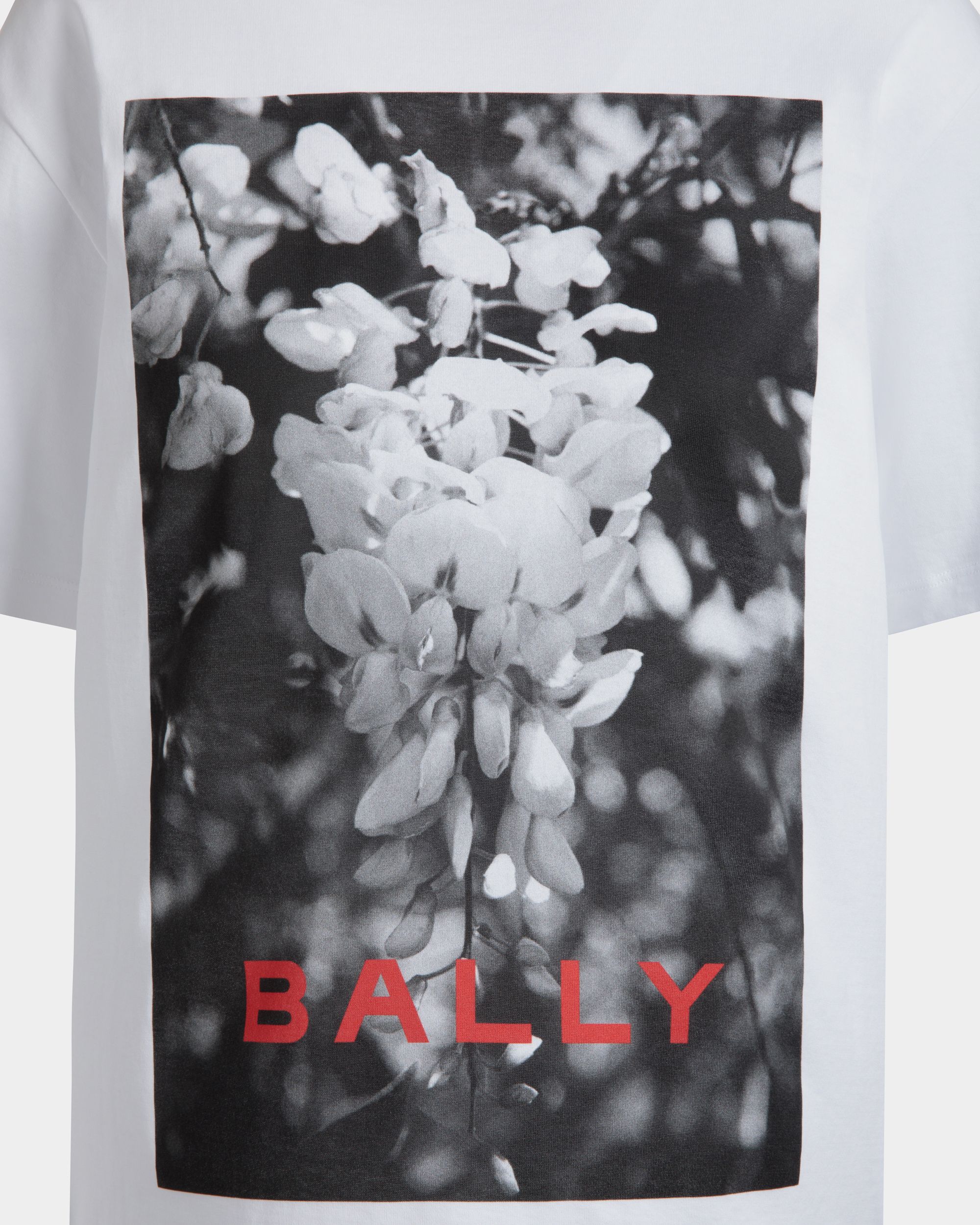 Bally Global -  - 