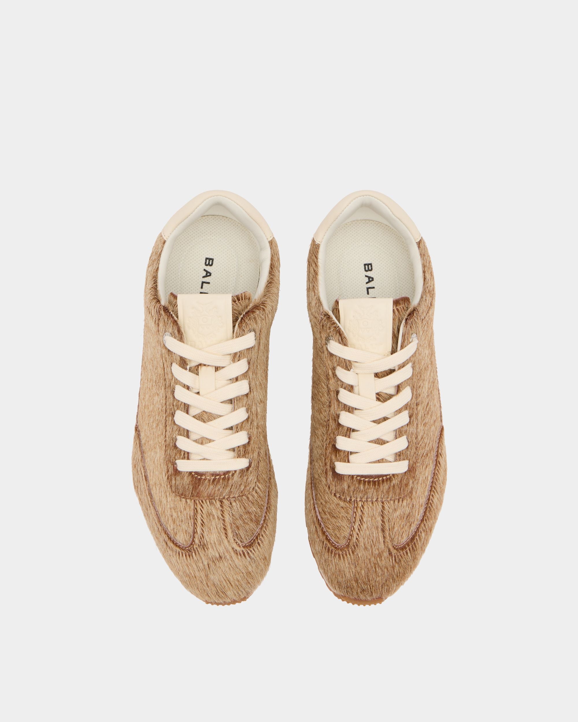Bally Global -  - 