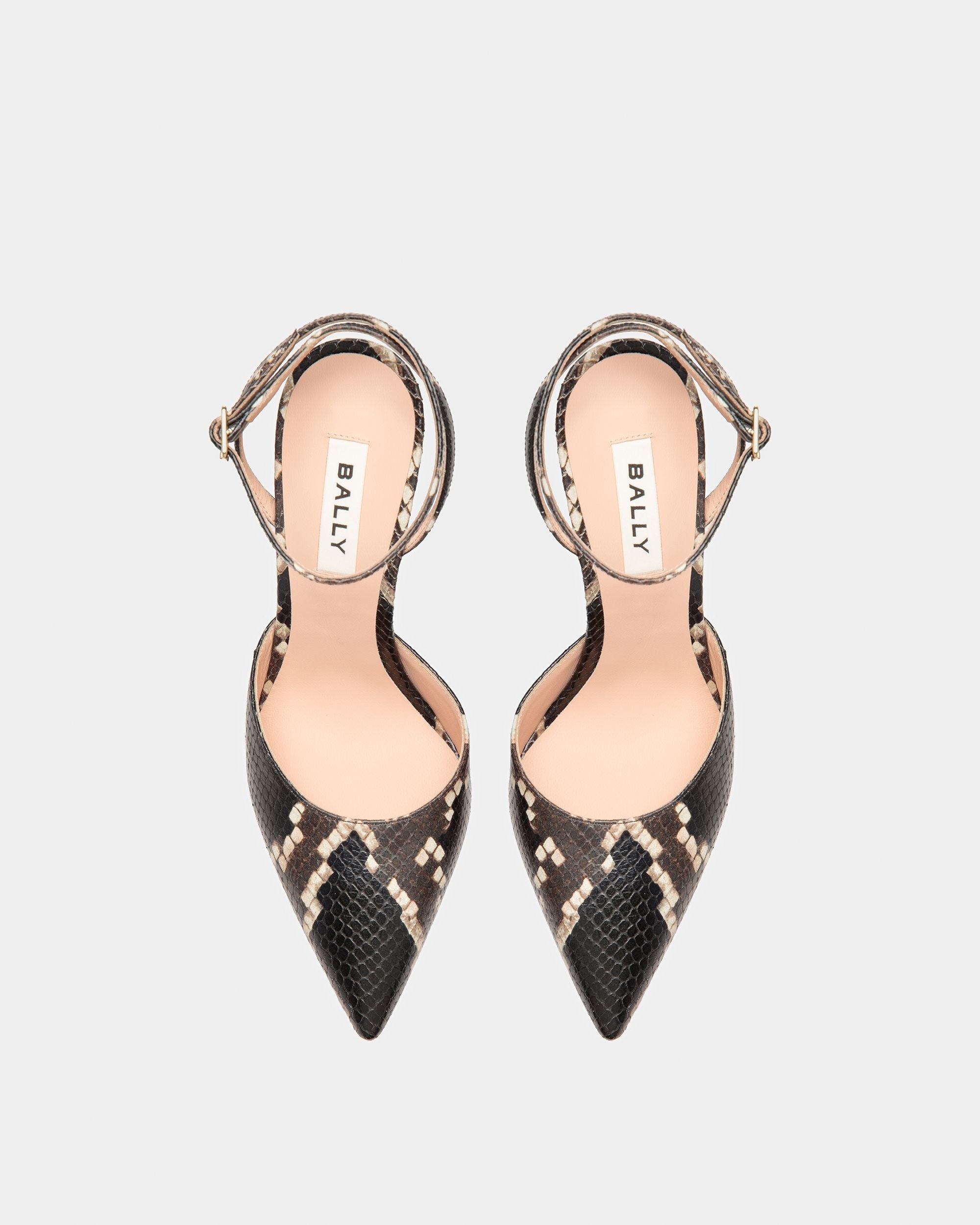 Bally Global -  - 