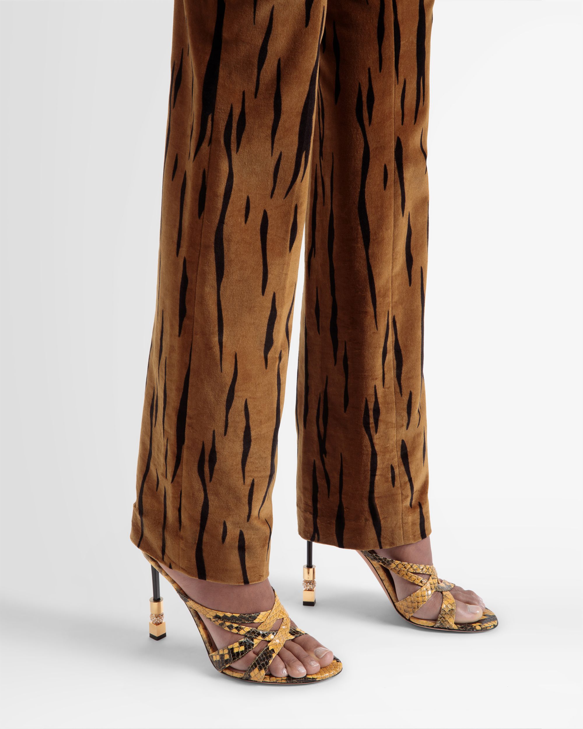 Bally Global -  - 