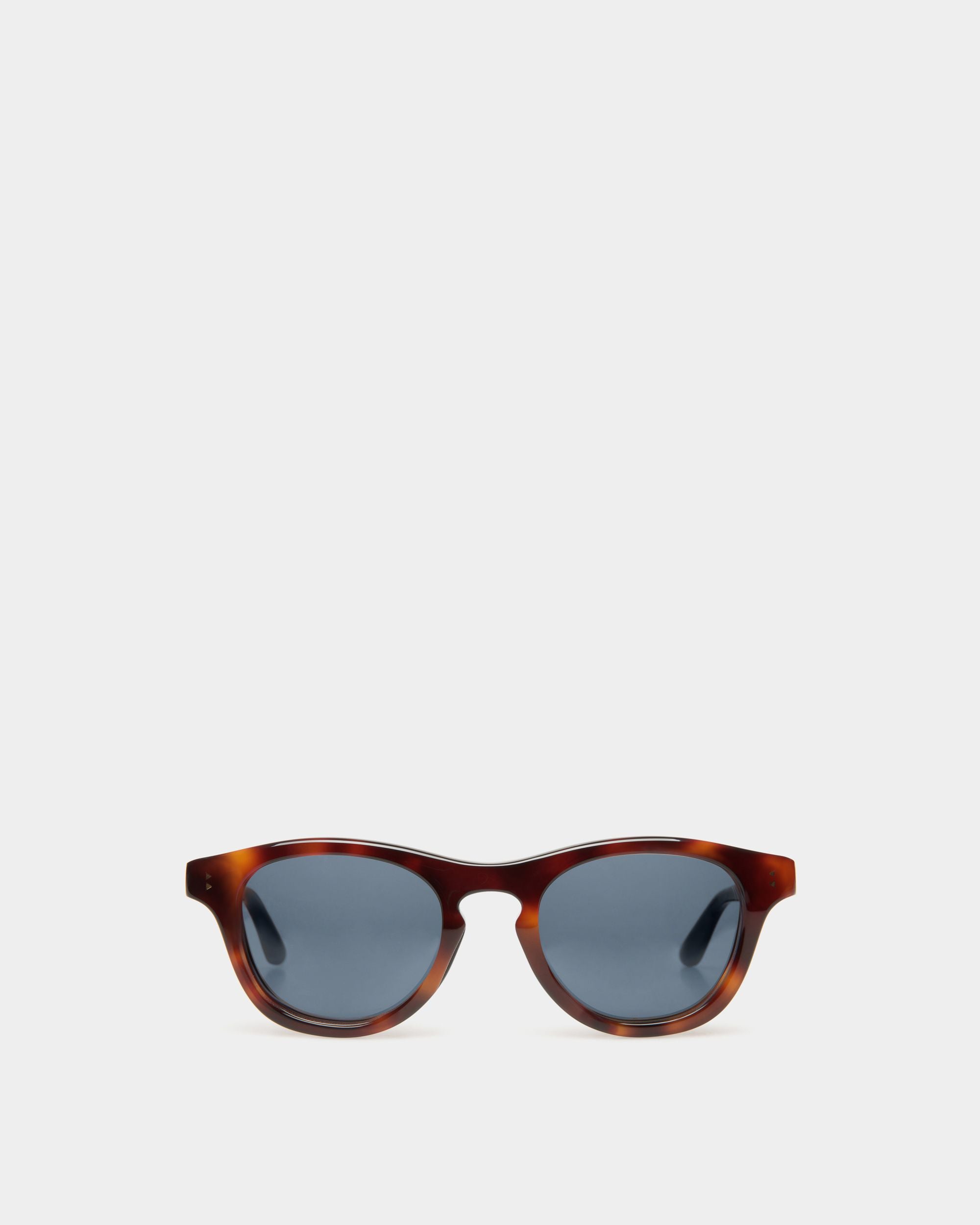 Dieter Sunglasses In Havana Acetate - Other - Bally - 01